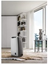 DeLonghi DNS65, deshumificador, 2.8l, silencioso, ionizador, color gris