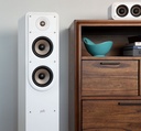 Polk Sistema Acústico S50 ELITE Altavoz pasivo de rango completo de suelo.