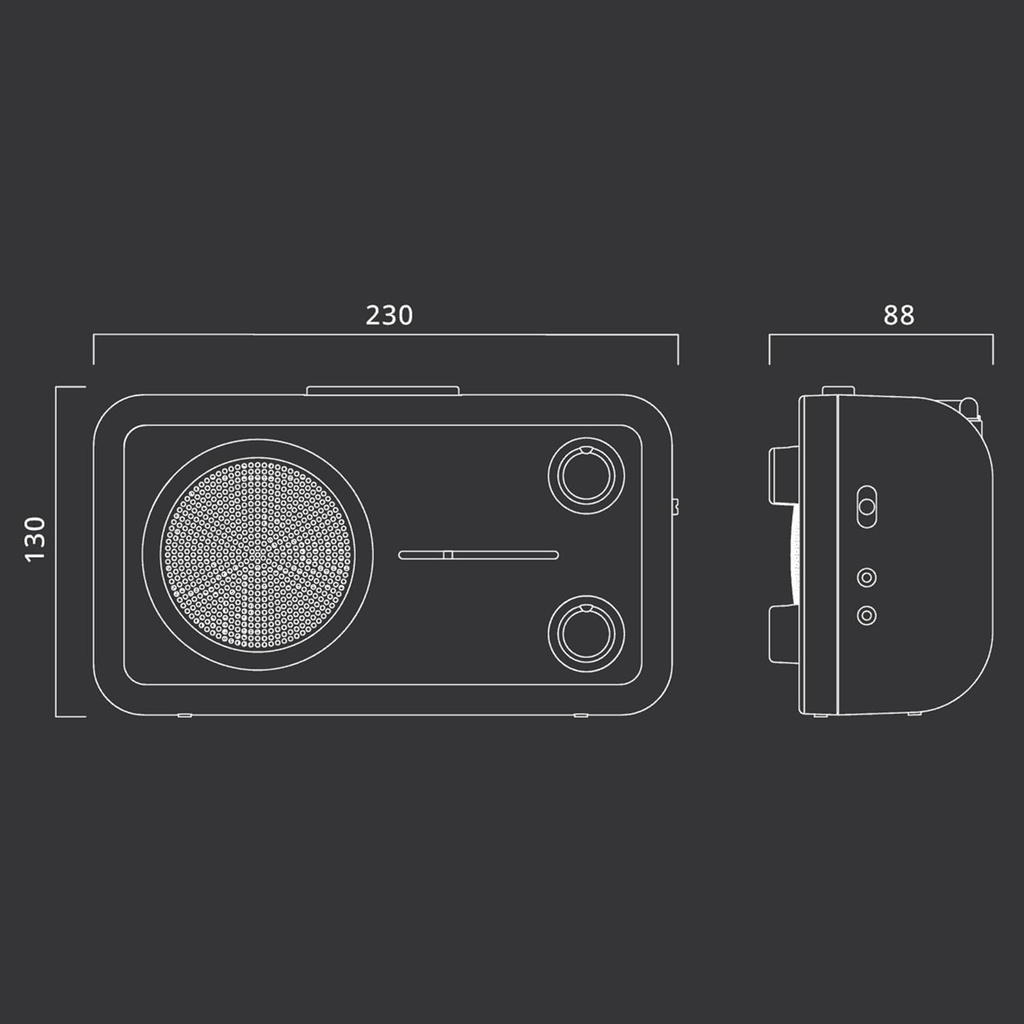 Muse M-06 DS, Radio portátil, 2 bandas (FM/AM), Antena telescópica, Encendido y apagado en el botón de volumen, Entrada auxiliar