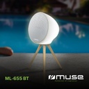 Muse ML-655 BT, Altavoz Bluetooth portátil con 100w de Potencia, Luces de ambiente de colores, Batería recargable (6.600 mAh), IPx4 contra salpicaduras, Mando a distancia, Trípode, Posibilidad de par-estéreo