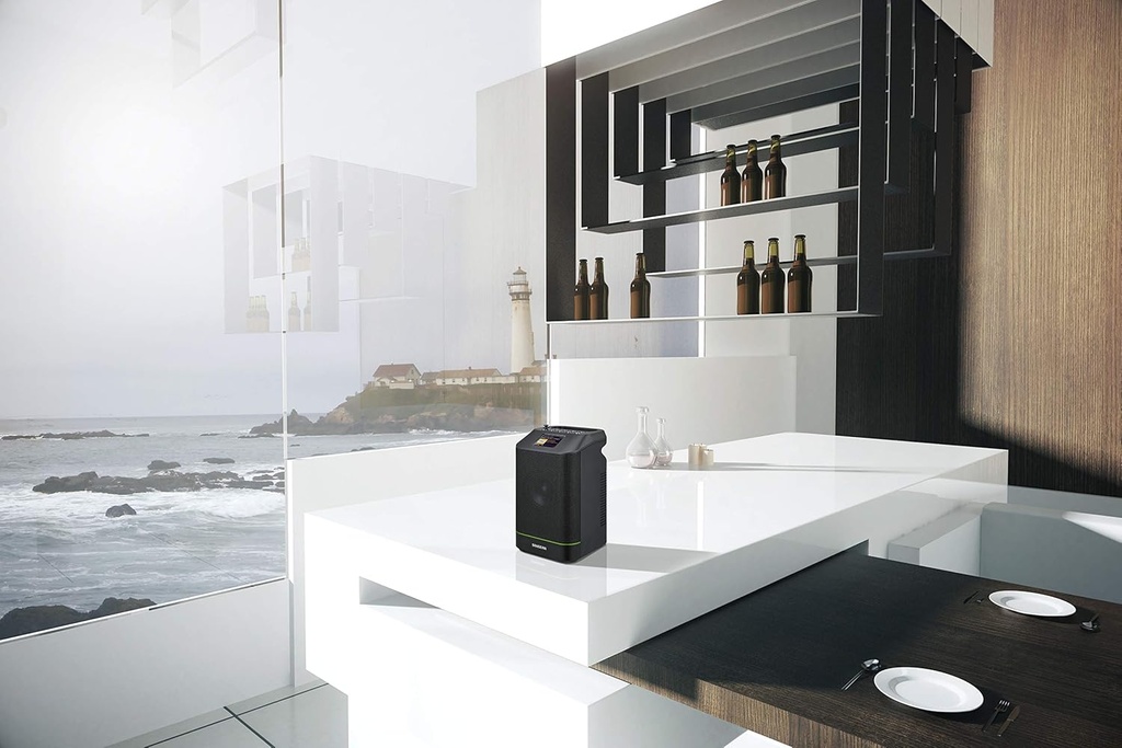 Sangean WFS-58, radio internet portátil, Wifi/Bluethoot con Dab+, negro