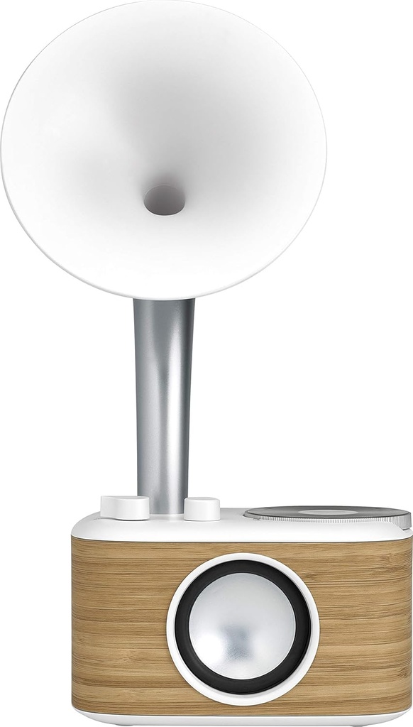 Sangean WR-45, (Euphonic 450), Chopin Gold (BT/FM/Bateria)