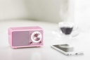 Sangean WR-7WL - Mini altavoz Bluetooth con sintonizador FM y entrada auxiliar