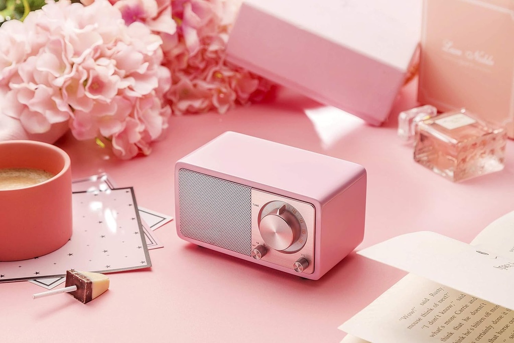 Sangean WR-7WL - Mini altavoz Bluetooth con sintonizador FM y entrada auxiliar