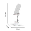 Rowenta QR1811F0, Plancha y Cepillo de vapor todo en uno, Tabla multiposición, Salida de vapor de hasta 80 g/min