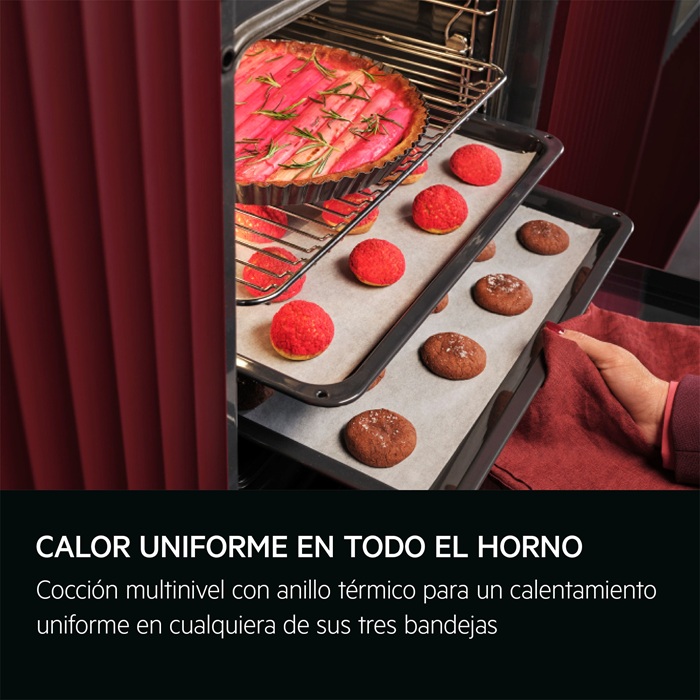 Aeg TE8PB731AB, Horno multifunción Serie 7000 MealAssist con Display CookSmart Touch 4,3 '', con WiFi