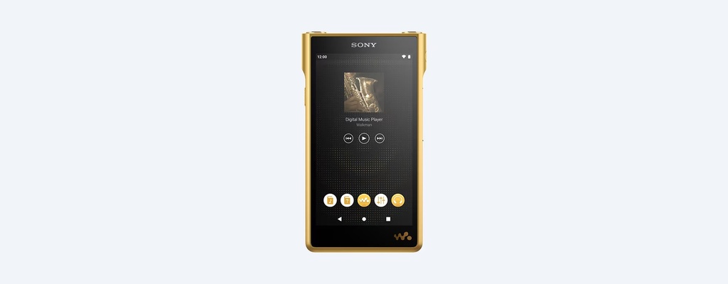 Walkman WM1ZM2 SONY Signature Capacidad de 256 GB y ranura para tarjetas SD