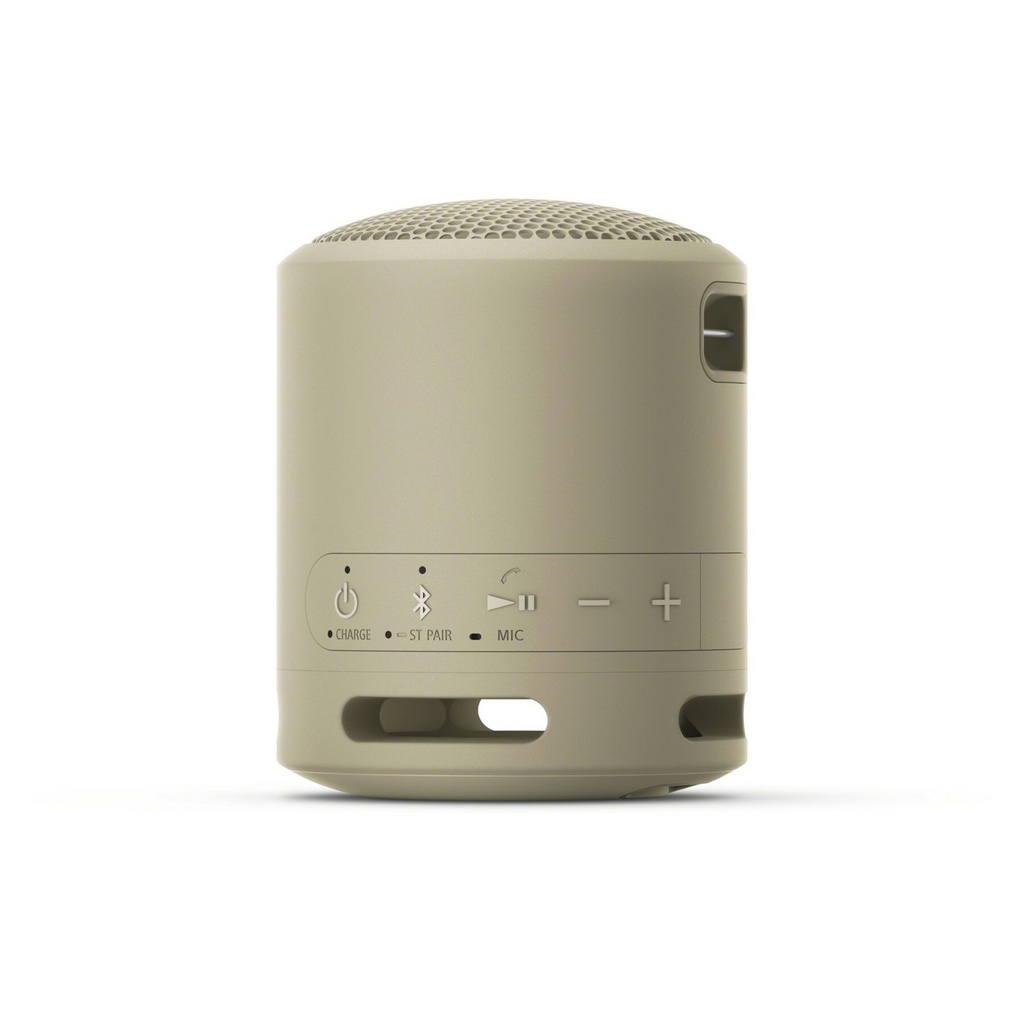 ALTAVOZ SONY BT SRSXB13C IP67 GRIS