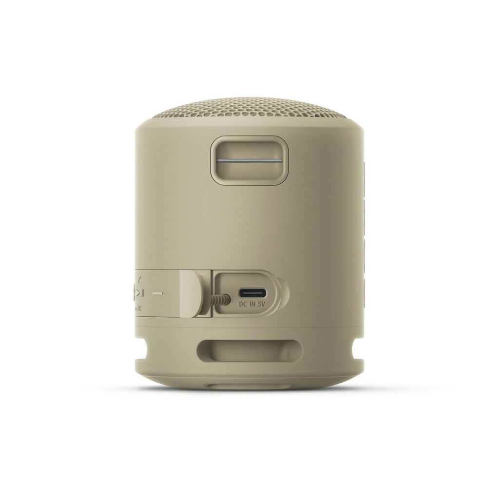 ALTAVOZ SONY BT SRSXB13C IP67 GRIS