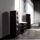 ALTAVOZ DE SUELO Q750 KEF