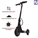 PATINETE ZWHEEL ZFOX FASHION 300W