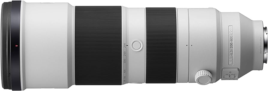 Sony FE 200-600 mm f/5.6-6.3 G OSS - Full-Frame, Zoom, Superteleobjetivo G (SEL200600G)