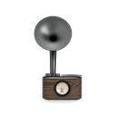 Sangean WR-45 Black (Euphonic 450) Chopin Silver (BT/FM/Bateria)