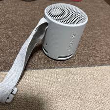 Sony SRSXB100HC, altavoz de viaje inalámbrico Bluetooth, IP67, 16 horas, gris