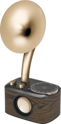 Sangean WR-45, (Euphonic 450), Chopin Gold (BT/FM/Bateria)